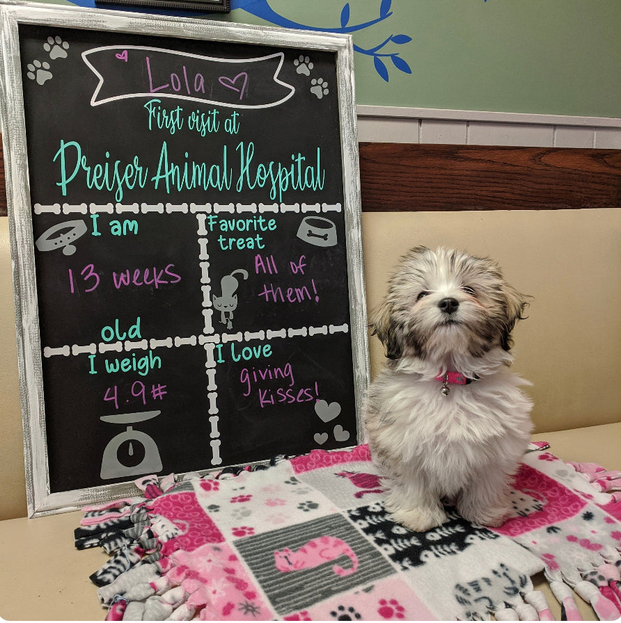 Veterinary First Visit Chalkboard - Vet Visit Chalkboard - Pets First Visit
