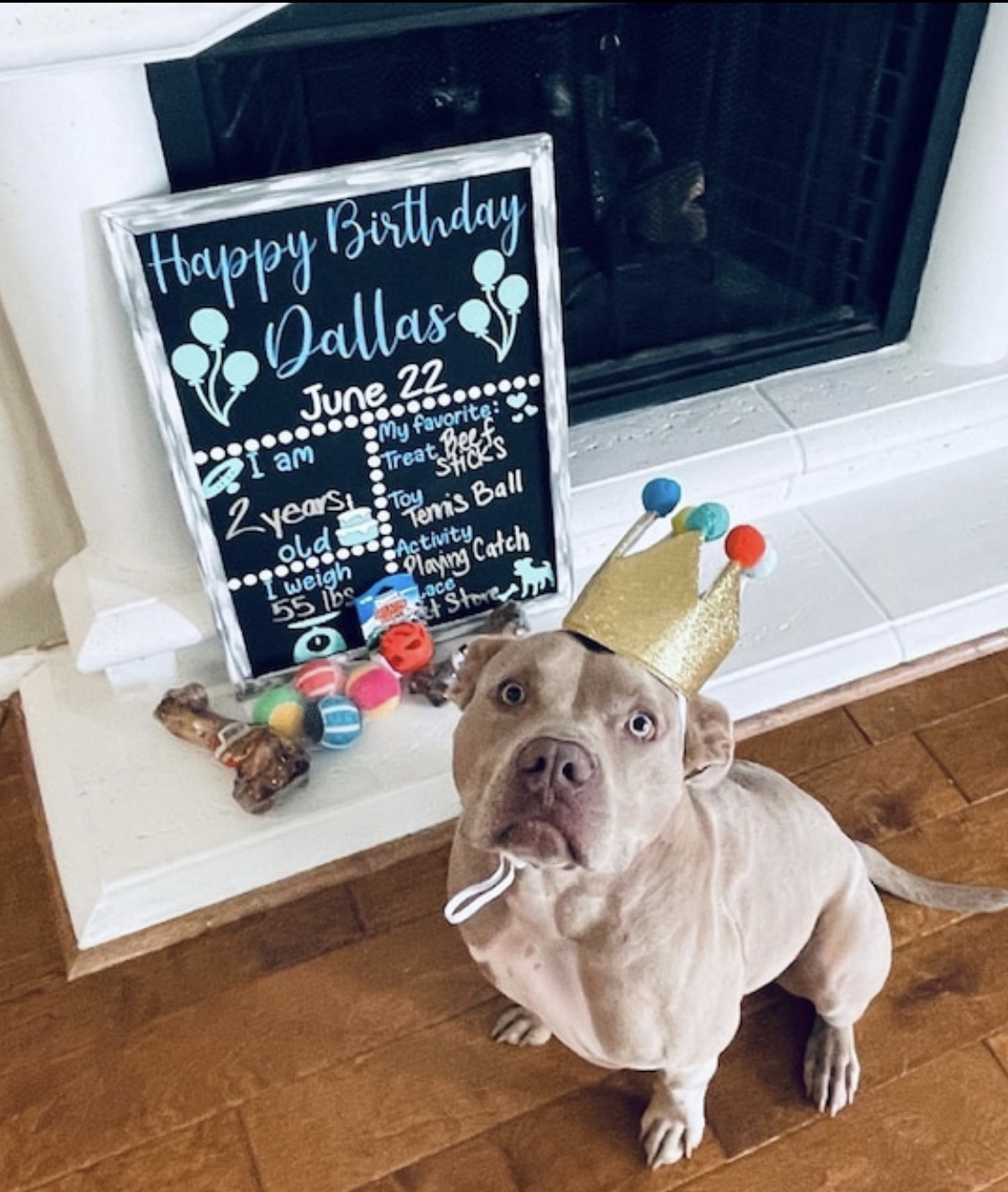 Pet Birthday Chalkboard